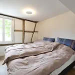Heppenheim Mit Hund- 