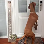 Apartment Heppenheim Mit Hund- 