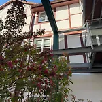 Heppenheim Mit Hund- 
