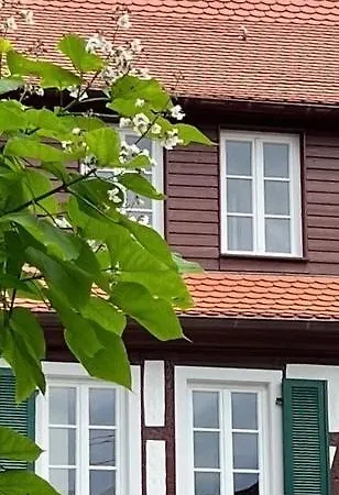 公寓 Heppenheim Mit Hund- 