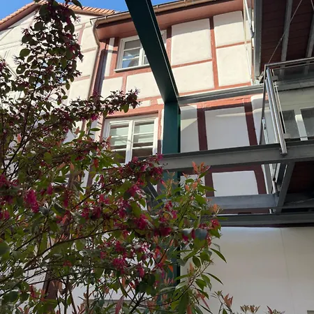 Heppenheim Mit Hund- 